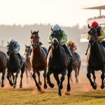 Cara bermain judi balap kuda