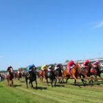 Pasaran balap kuda terpercaya