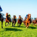 Prediksi balap kuda hari ini