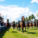 Taruhan balap kuda terbaik