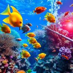 Situs Judi Tembak Ikan